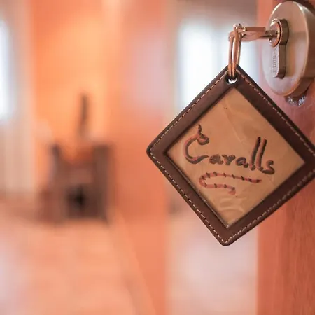Guest house Ca L'angel Pinell de Bray